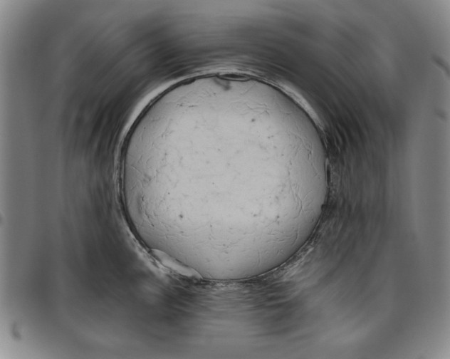 X0000096461148200802211119