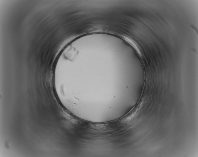 X0000096461149200802211119