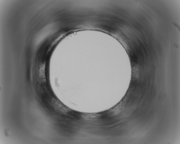 X0000096461150200802211119