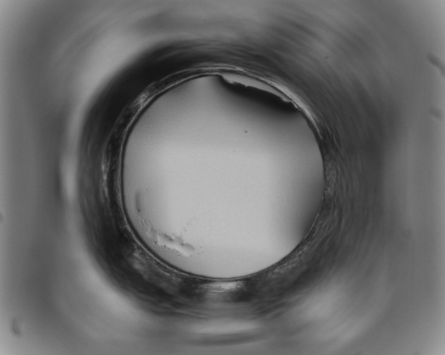 X0000096461151200802211119