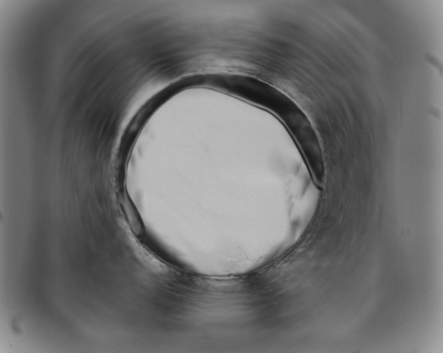 X0000096461152200802211119