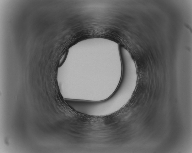 X0000096461153200802211118