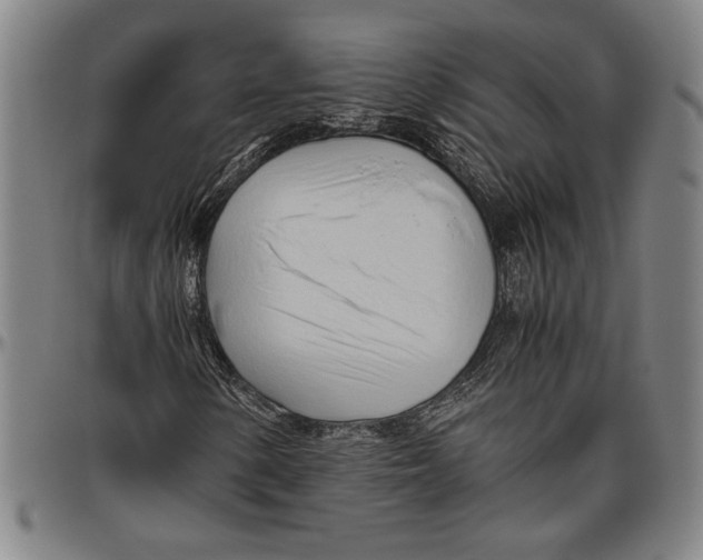 X0000096461154200802211118