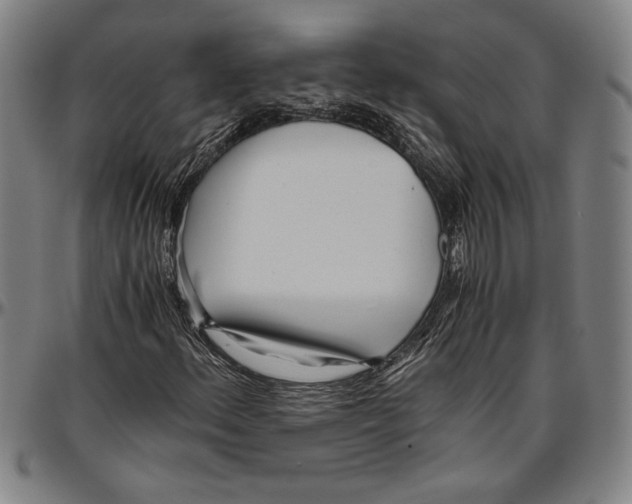 X0000096461156200802211118