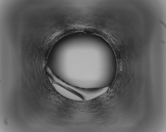 X0000096461157200802211118