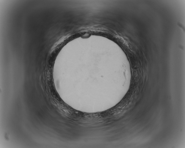 X0000096461159200802211118
