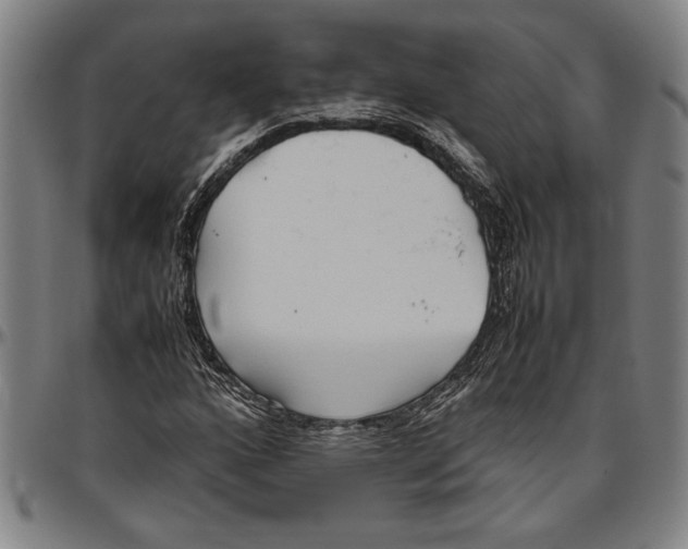 X0000096461160200802211118