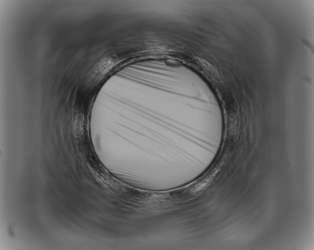 X0000096461161200802211118