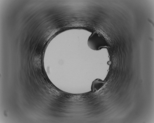X0000096461162200802211118