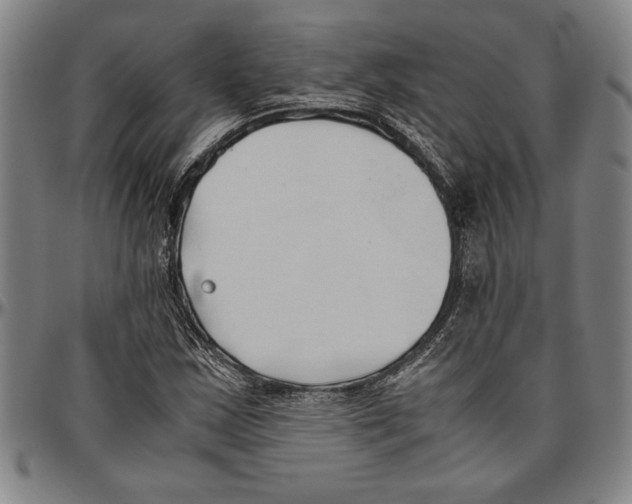 X0000096461163200802211118