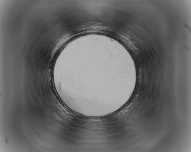X0000096461164200802211118