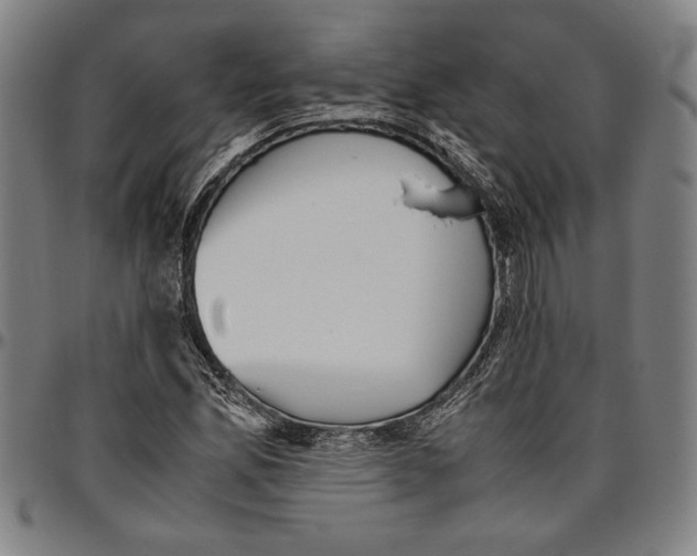 X0000096461165200802211118