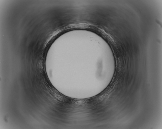 X0000096461166200802211118