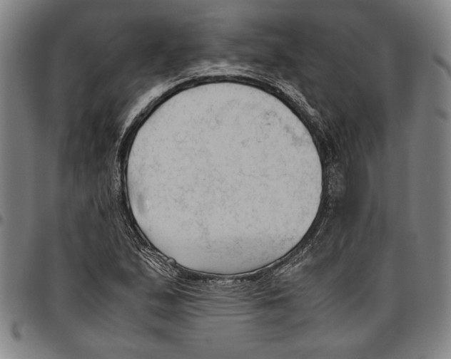 X0000096461167200802211118