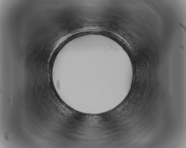 X0000096461168200802211118