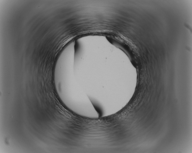 X0000096461169200802211118