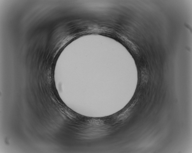 X0000096461170200802211118