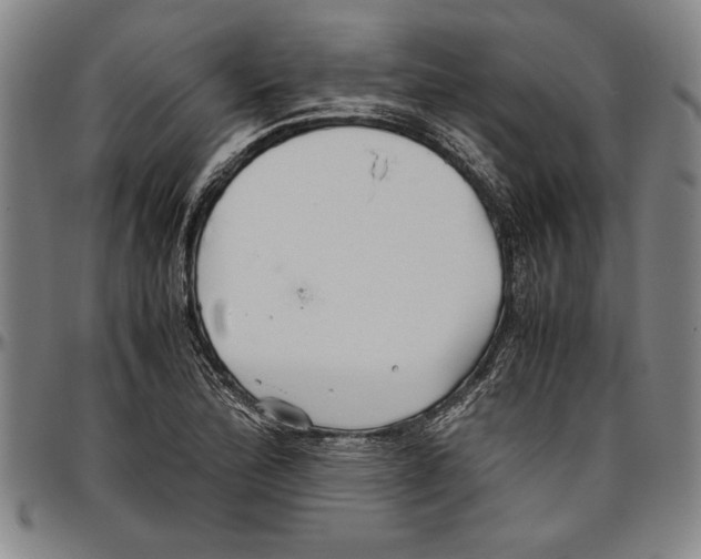 X0000096461172200802211118