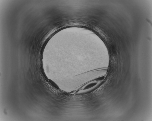 X0000096461173200802211118