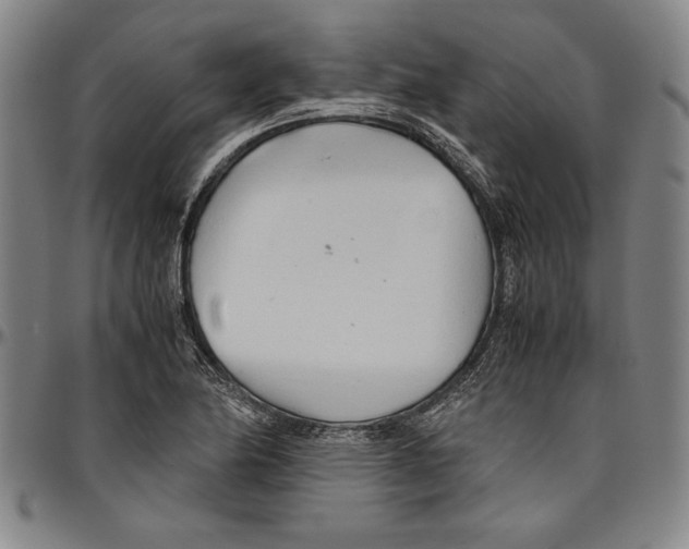 X0000096461174200802211118