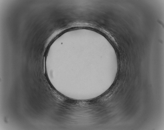 X0000096461175200802211118
