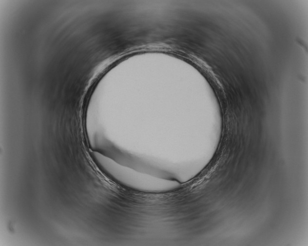 X0000096461176200802211118