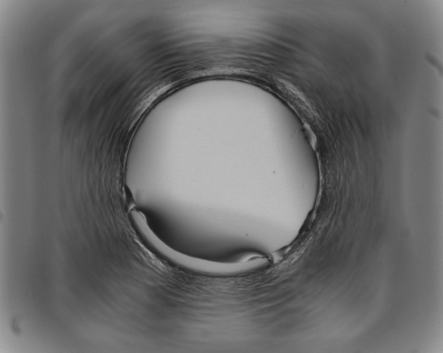 X0000096461177200802211118