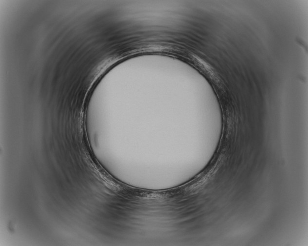 X0000096461178200802211118