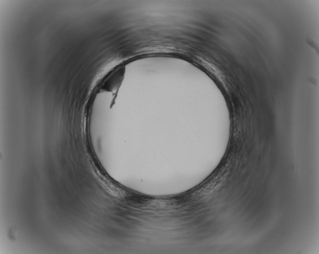 X0000096461179200802211118