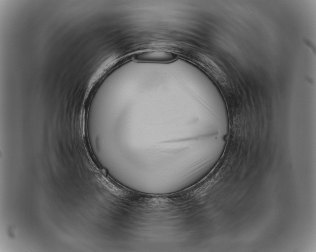 X0000096461180200802211118