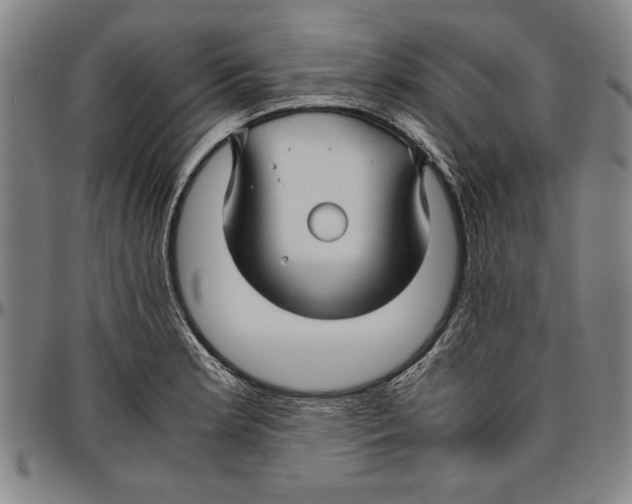 X0000096461181200802211118