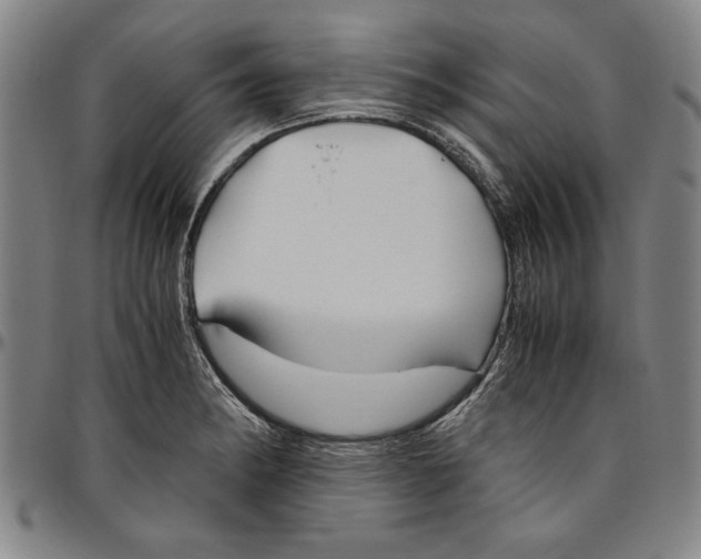 X0000096461182200802211118