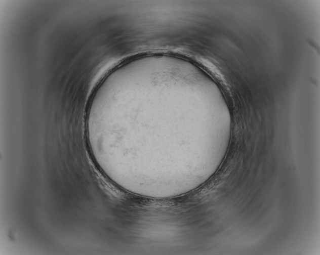 X0000096461183200802211118
