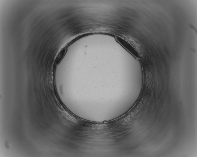 X0000096461184200802211118