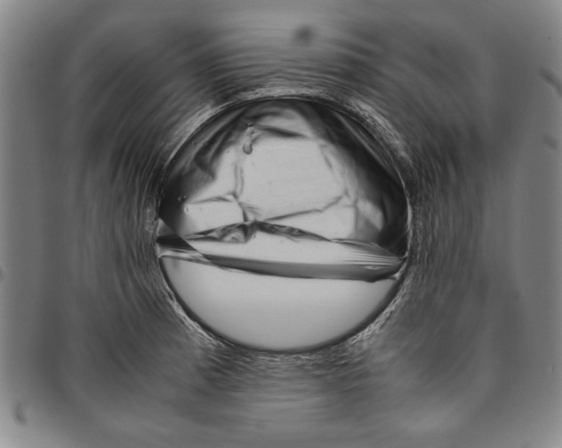 X0000096461185200802211118