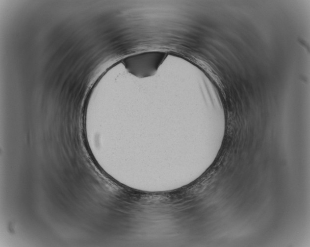 X0000096461187200802211118