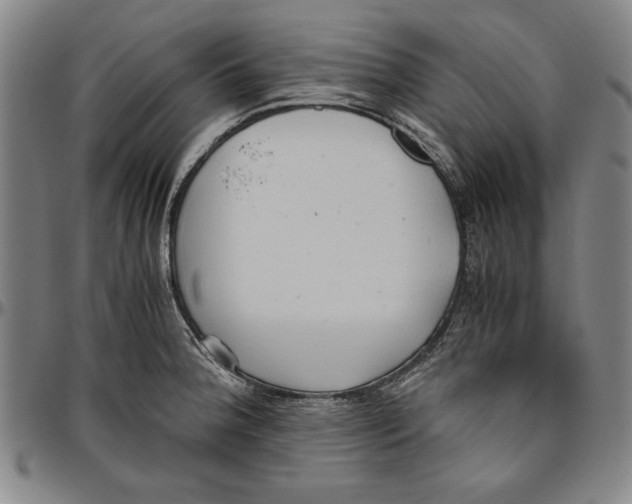 X0000096461188200802211118