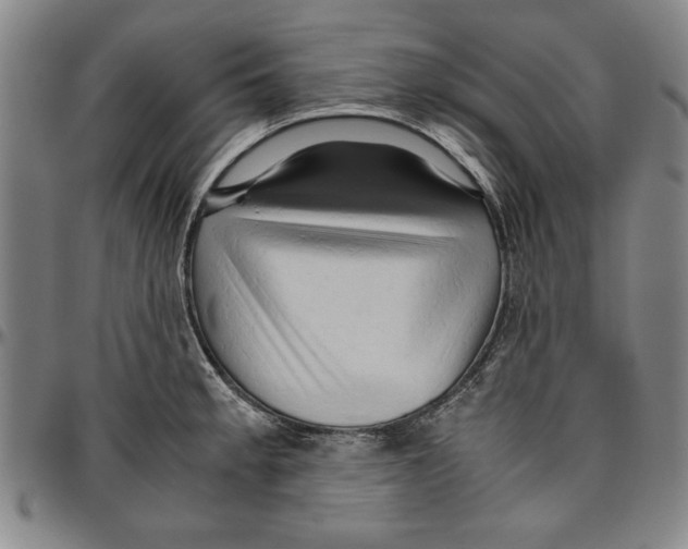 X0000096461189200802211118