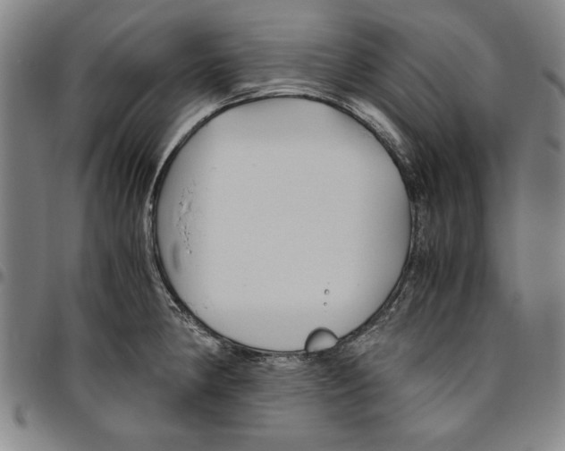 X0000096461190200802211118