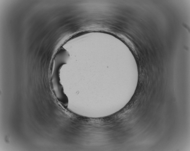 X0000096461191200802211118