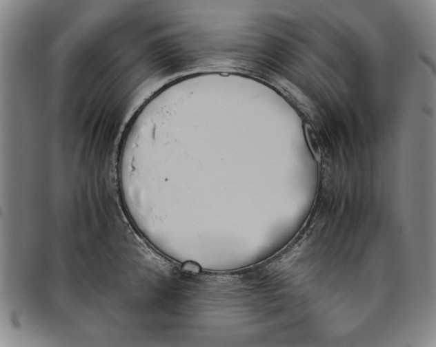 X0000096461192200802211118
