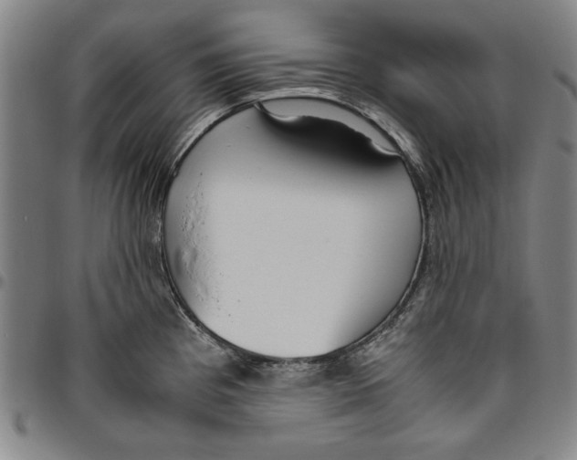 X0000096461193200802211118