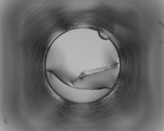 X0000096461194200802211118