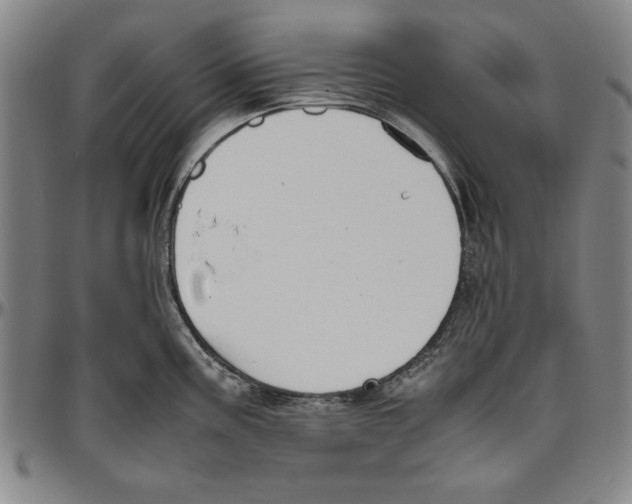 X0000096461195200802211118