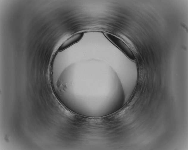 X0000096461196200802211118