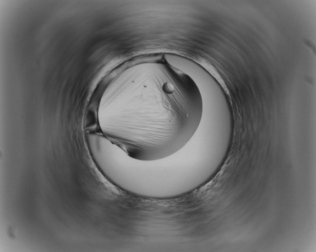 X0000096461197200802211118