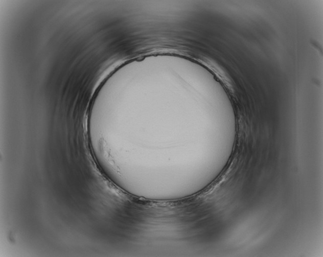 X0000096461198200802211118