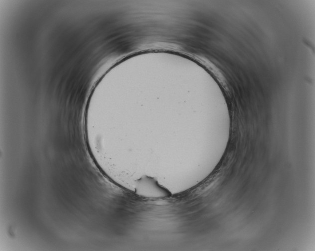 X0000096461199200802211118