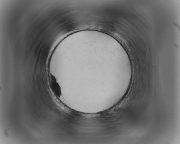 X0000096461200200802211118