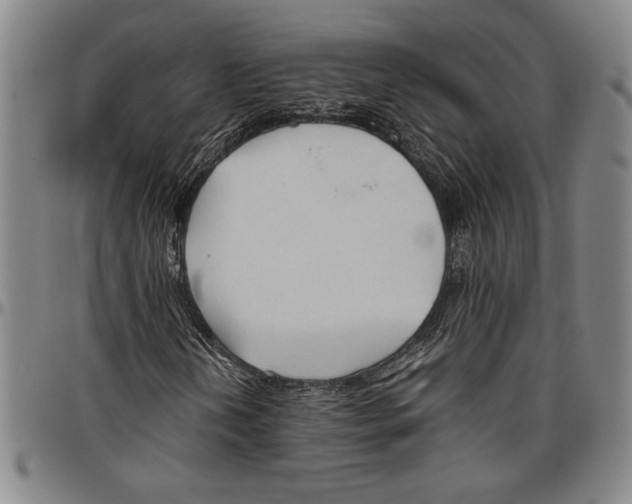X0000096461202200802211117